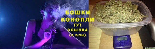 стафф Ельня