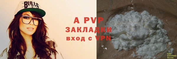 стафф Ельня
