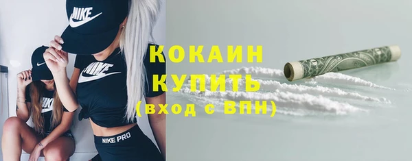 стафф Ельня