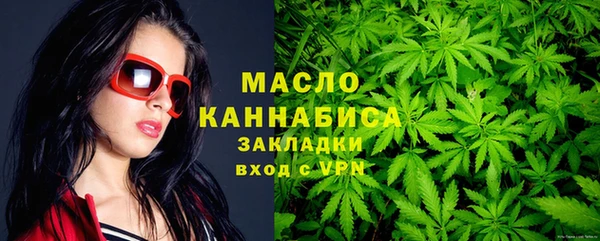 молекула духа Дмитриев
