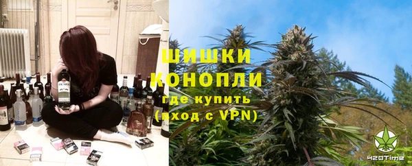 молекула духа Дмитриев