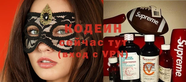 мет Елабуга