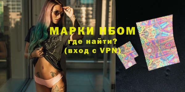 стафф Ельня