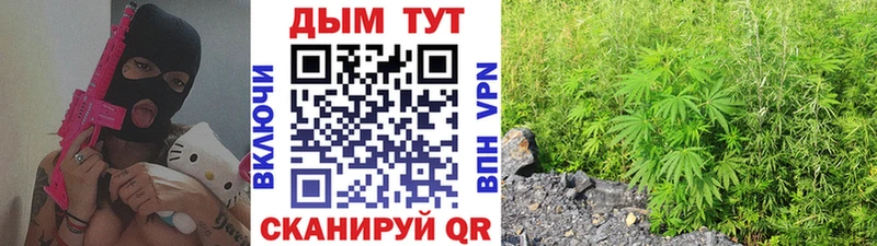 Конопля гибрид Кашира